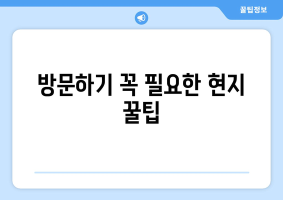 방문하기 꼭 필요한 현지 꿀팁