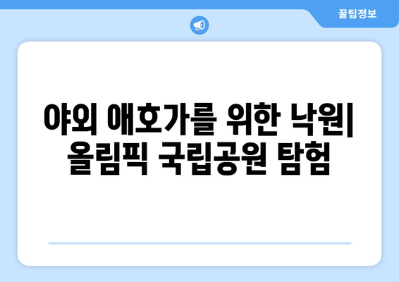 야외 애호가를 위한 낙원| 올림픽 국립공원 탐험