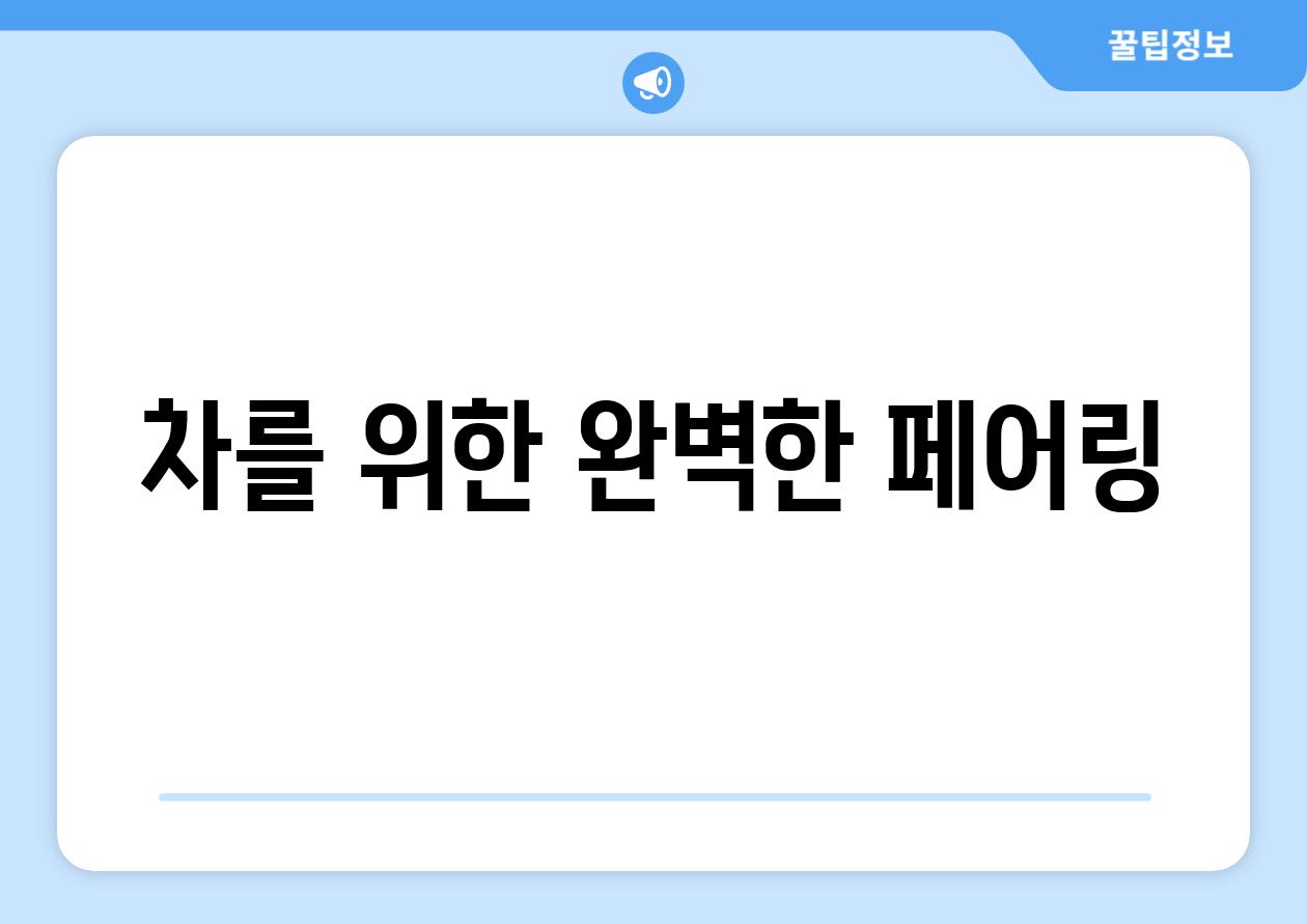 차를 위한 완벽한 페어링