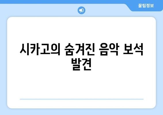 시카고의 숨겨진 음악 보석 발견