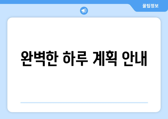 완벽한 하루 계획 안내