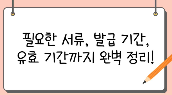 국제 운전 면허증 발급 완벽 가이드| 절차, 필요 서류, 유효 기간까지 한번에! | 국제 면허, 해외 운전, 여행 준비